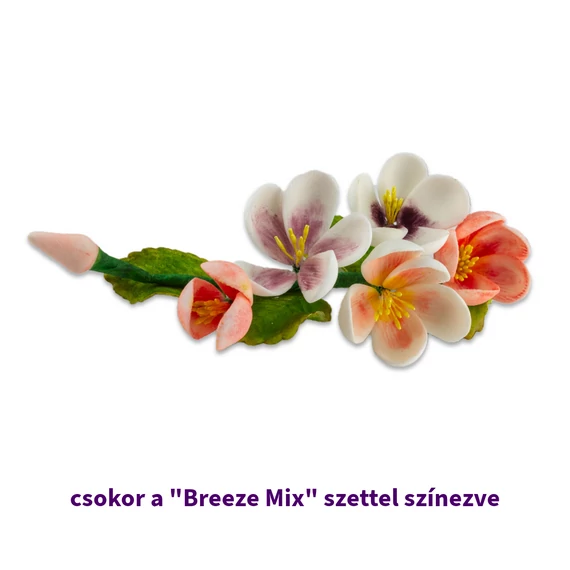 Lumea Breeze ételfestékpor mix
