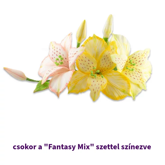 Lumea Fantasy ételfestékpor mix