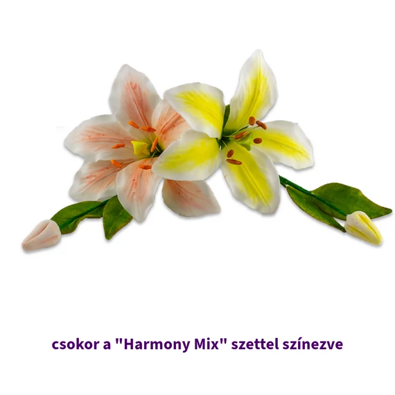 Lumea Harmony ételfestékpor mix