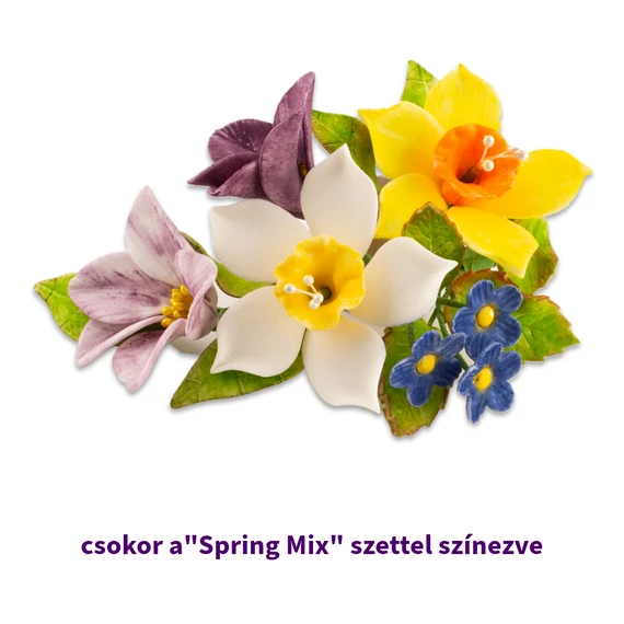 Lumea Spring ételfestékpor mix