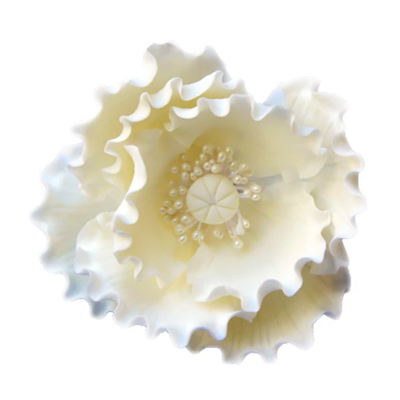 Lumea nagy fehér mákvirág cukormasszából